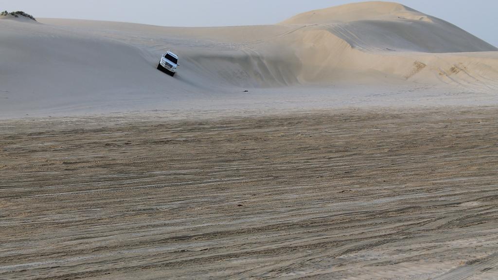 Dunes Discovery Halfday Desert Safari with Inland Sea - Image 2